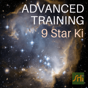 9 Star Ki Advanced Training