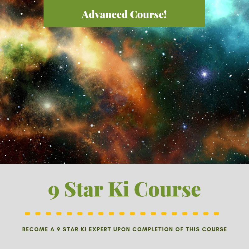 9 Star Ki Course