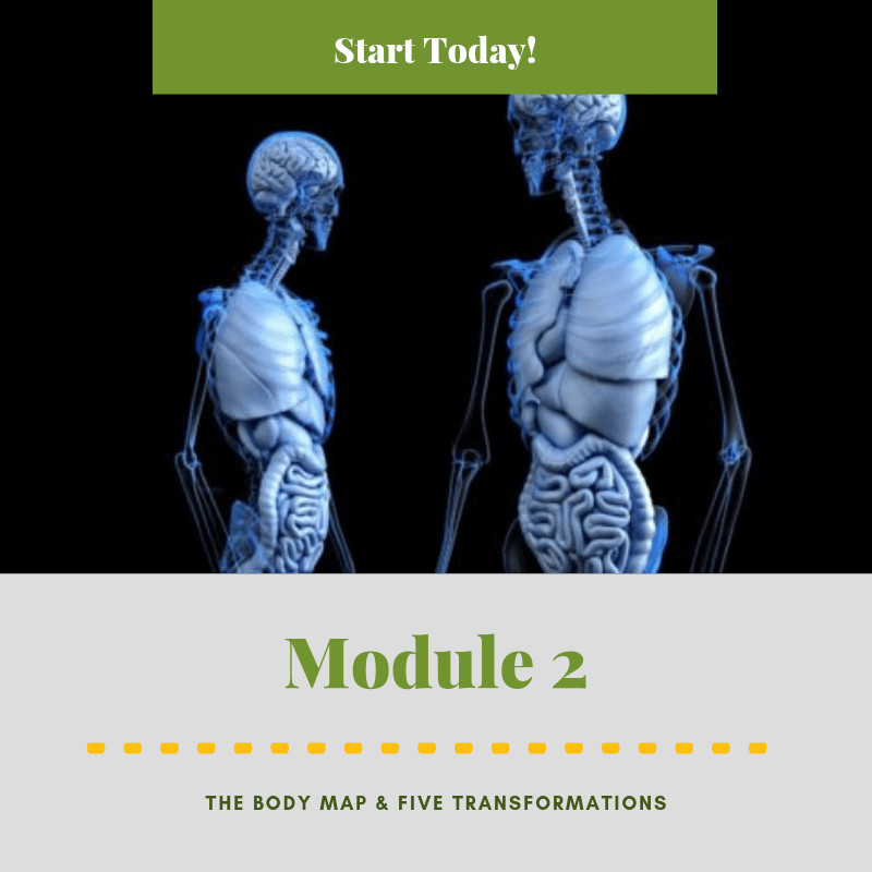 Body Map & 5 Transformations