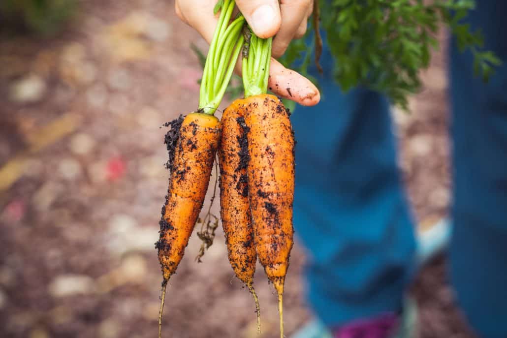 Macrobiotic Diet Zen Macrobiotic diet
