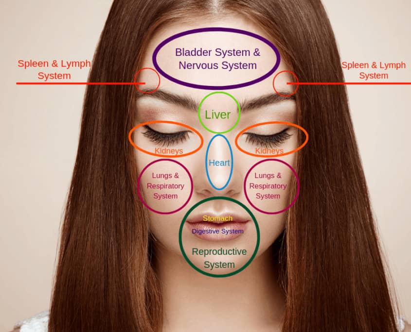 Understanding Facial Diagnosis Principles SHI Macrobiotics