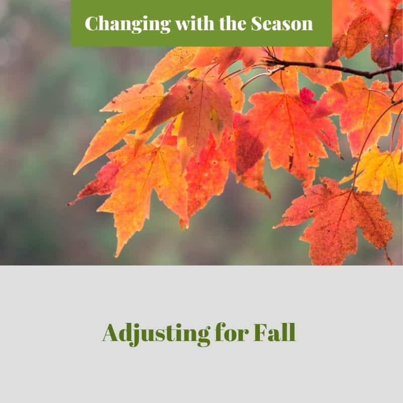 Adjusting for Fall