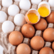 are eggs macrobiotic